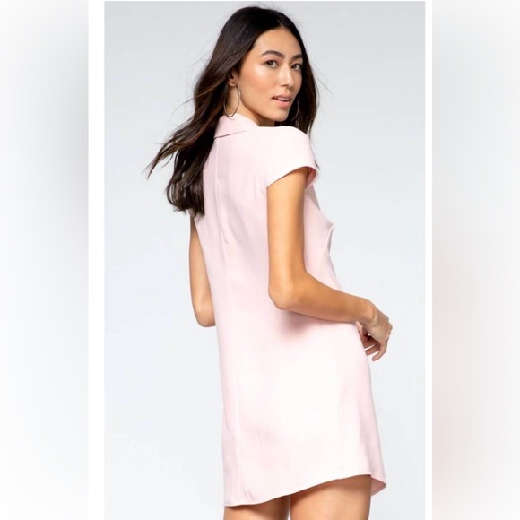 Amanda Uprichard NEW Walker Dress in Dusty Rose Light Pink Preppy Mini Dress - Picture 5 of 13
